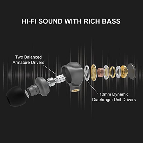 BASN Metalen 4 Drivers in-Ear Monitor Headphones, Wired Earbuds, Gray | 2BA+2DD Musicians Noise Isolating IEMs with Deep Bass, Two Detachable MMCX Cables with Case for Singers,Drummers,Bassists - color: Gray