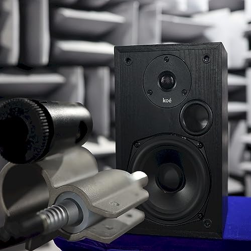 Audio Express Koe’ B102 – 100 Watt Home Theater, Passive Bookshelf Speakers (Pair) Hi-Res Audio, Excellent Response, HiFi, Satellites, Includes SPL/Freq Graph, Wall-Mountable, Black