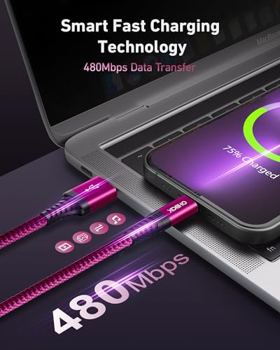 USB to USB C 케이블 60W 고속 충전 [2팩 1.8m(6피트), USB A to USB C 케이블 | CarPlay, 내구성이 뛰어난 브레이드 USB 타입 C 아이폰 충전기 USBC 코드 아이폰 17/16/15/프로 맥스, 삼성 갤럭시 S23 및 기타 - 로즈 - color: 로즈 레드, size: 6피트, style: USB A to USB C