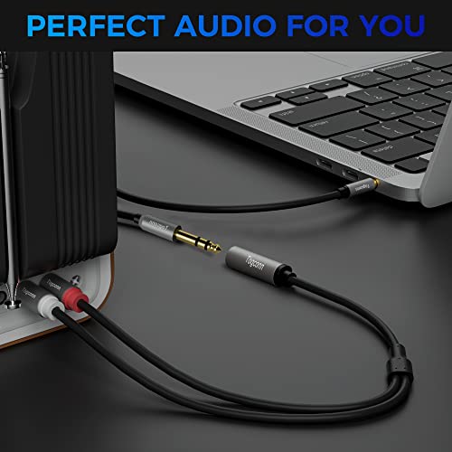 6.35mm to 2RCA Audio Cable(2 Pack),6.35mm 1/4 inch Female TRS to Stereo Dual RCA Male Y Splitter Audio Adapter Cable Gold Plated Plug (10 Inch/25CM) - size: 2 Pack, style: 6.35(female) to 2RCA(male)