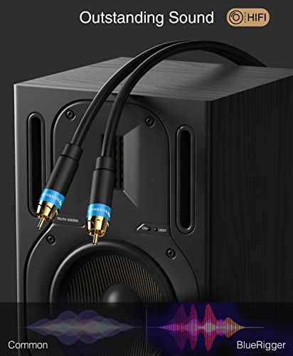 BlueRigger Subwoofer Cable 10FT 2PK, Dual Shielded RCA Cables for Subwoofer - size: 10FT
