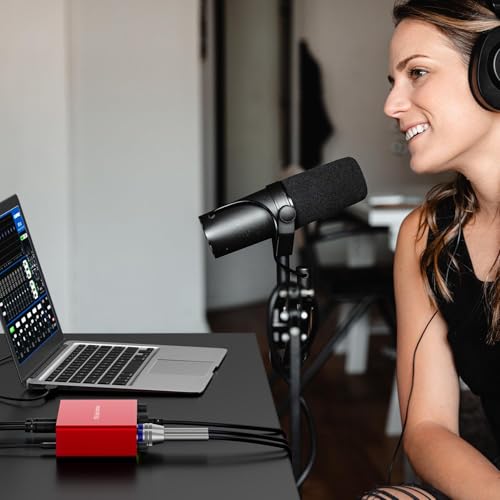 USB Audio Interface, 2-In-2-Out USB-C External Sound Card, 24Bit/192kHz 48V Phantom Power Zero-Latency Monitor for Podcast Live Stream Vocal Guitar Recording