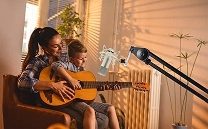 TLM 103 Shock Mount - Microphone Mount Compatible for Neumann TLM 103 M147 Condenser Mic by SUUNTOK,Silver - color: Silver