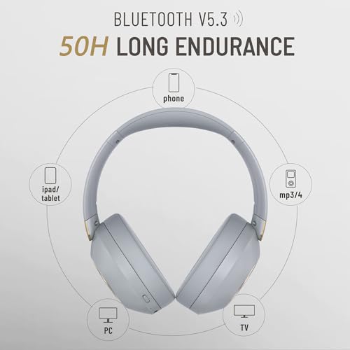 LORELEI B-C6 Wireless Over Ear Headphones, 50H Playtime Foldable Lightweight Bluetooth Headsets, Deep Bass, Built-in Microphone, Memory Foam Earmuff, for Travel, Home Office (Smoke Gray) - color: Grey