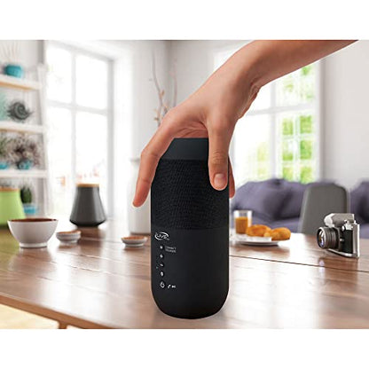 iLive ISBW240BDL ISBW240BDL Bluetooth Indoor and Outdoor Waterproof Speakers with Removable Stakes, 2 Count, Black