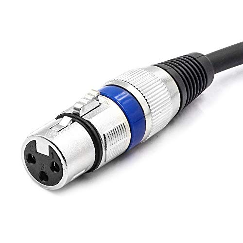 XLR to 3.5mm (1/8 inch) Stereo Microphone Cable for Camcorders, DSLR Cameras, Computer Recording Device and More - 10ft - size: 10 Feet