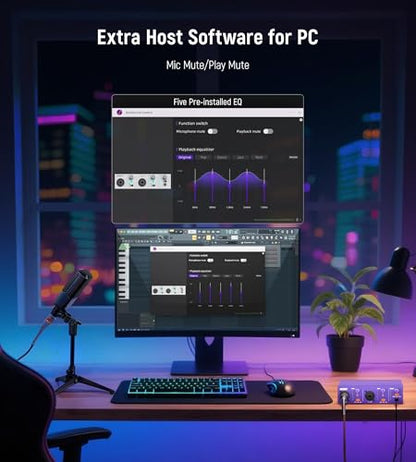 USB C Audio Interface for Recording Music, Streaming, Podcasting with Dual XLR, Line Input, 24bit/48kHz, 48V Phantom Power, 2-channel, Purple