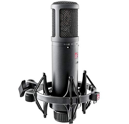 SE Electronics SE2200 Large Diaphragm Cardioid Condenser Microphone,Black