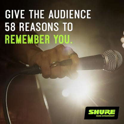 Shure SM58 Pro Dynamic Vocal Microphone with 25-ft XLR Cable