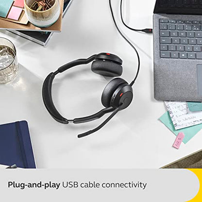 Jabra Evolve2 50 Wired Stereo Headset - with AirComfort Technology, Noise-Cancelling Mics & Active Noise Cancellation - MS Teams Certified, Works with All Other Platforms - Black - color: Black, style: Teams Certified
