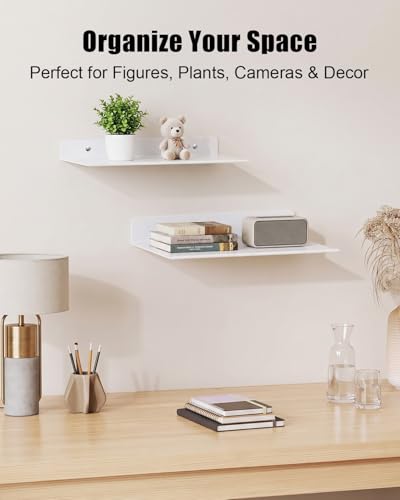 12" Floating Metal Wall Shelf 2-Pack, Router Shelf with Cable Hole | Wall Mount Floating Shelves for Speakers Books Plants Cameras WiFi Router, Home Office Bathroom Storage Organizer
