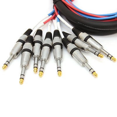Seismic Audio - SAXT-8x10M - 8 Channel 10' XLR Male to 1/4" TRS Snake Cable - size: 10 Foot - 8 Channel
