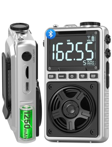 AM FM Shortwave Radio with NOAA Weather Alert,1250mAh Rechargeable | Bluetooth Portable Pocket Radio with Best Reception 5W Big Speaker Earphone,Support SD Card and USB Player Silver - color: Silver