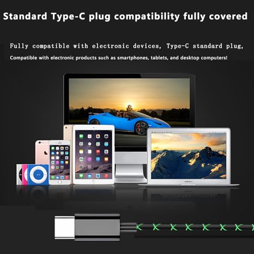 Clip-on USB-C Earphones with Mic & Controller, C-type Earphones with Subwoofer Stereo, Compatible with iPad & Android Smartphones