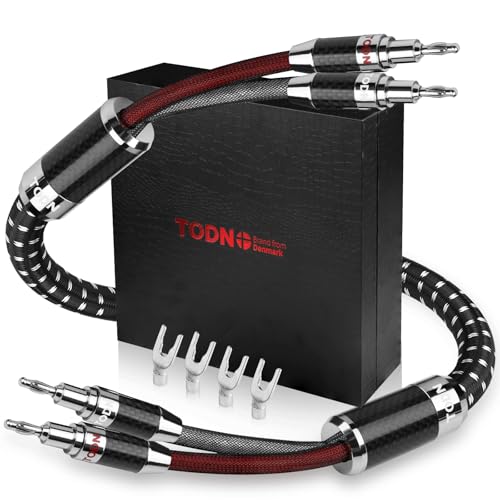 TODN 9.8ft Silver-Plated OCC Speaker Cable with Banana Plugs HiFi Shielded | 1 Cable Rhodium-Plated Banana Plug Speaker Wire, Carbon Fiber Shell, Nylon Braided for Speakers Home Theater Amplifier Stereo - color: Speaker Cable Master, size: 3m