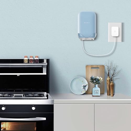 LeongLzt Ouligei Google Nest Audio Speaker Wall Mount/Bracket, in-Built Cable Management System & Easy Installation Speaker Holder Shelf Stand - Elegant & Durable Space Saving Accessory - color: CLEAR