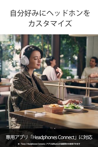 Sony WH-CH720NL Noise Canceling Wireless Bluetooth Headphones - Built-in Microphone - up to 35 Hours Battery Life and Quick Charge - Navy Blue - color: Blue