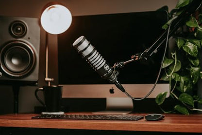 512 Audio by Warm Audio BBA Adjustable Microphone Boom Arm Mic Stand for Podcast, Streaming and Recording