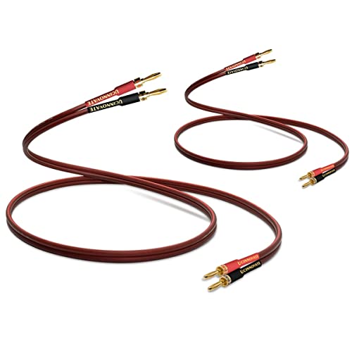 UCINNOVATE 2 Pack High-end Pure Copper HiFi OFC Speaker Wire Cable with Banana Plug, 3m Gold-Plated Banana Tip Plugs Male to Male 600 Strand 14 AWG for Audio Speaker HiFi System Home Theater (9.8FT) - size: 2 Pack 9.8FT