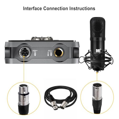5 Pin XLR Connector, XLR Microphone Cable, Balanced Male to Female Connections for Microphone and Audio Interface (3 Meter/10Ft)