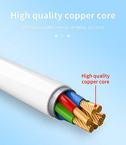 Zoyuzan Lightning Male to USB Female Adapter OTG Cable for Apple iPhone 11 12 Mini Max Pro XS XR SE2 7 8plus Ipad Air3 A Camera Memory Card Reader - color: Lightning to USB 1Pack