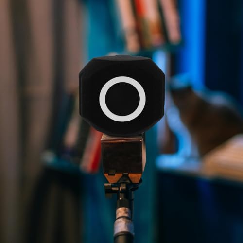Black Ball Studio Mic Shield for Podcast Voiceover Recording
