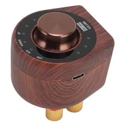 100W 5.0 Small Amplifier, HiFi Stereo Sound Digital Amp with AUX USB BT, for Mobile Phones Tablets Computers TVs Speakers