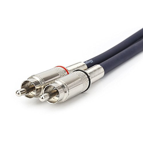 Dual RCA to XLR Male Cable, 2 XLR to 2 RCA/Phono Plug HiFi Stereo Audio Connection Microphone Cable Wire Cord Path Cable - 10 Feet / 3m - size: 10 FT