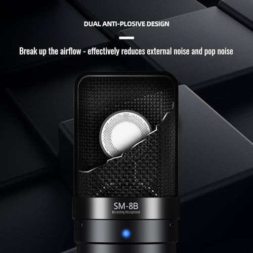TAKSTAR SM-8B II Studio Condenser Mic with 16mm Diaphragm & Shock Mount | 20Hz-20kHz Response, -36dB Sensitivity, Cardioid Pattern, Shock Mount & POP Filter Included, Requires 48V Phantom Power