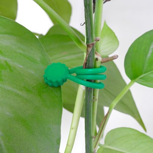 Rich&Ray Silicone Magnetic Twist Ties, Reusable Magnetic Ties - color: Green