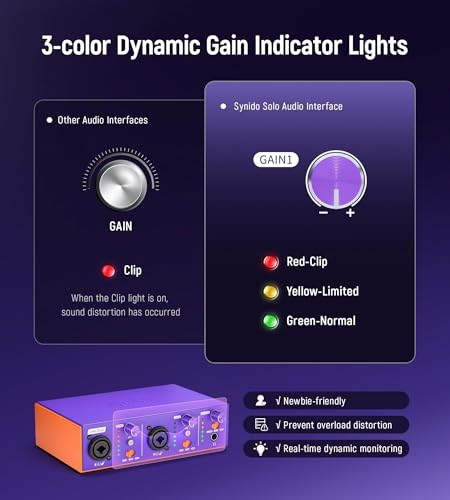 USB C Audio Interface for Recording Music, Streaming, Podcasting with Dual XLR, Line Input, 24bit/48kHz, 48V Phantom Power, 2-channel, Purple