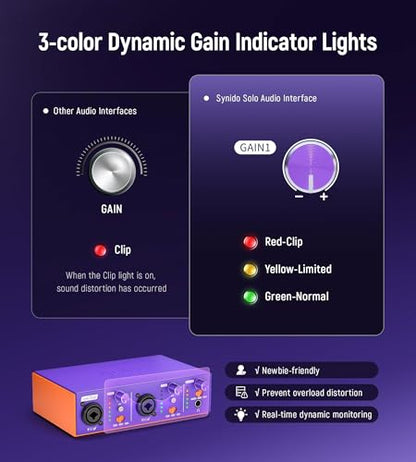 USB C Audio Interface for Recording Music, Streaming, Podcasting with Dual XLR, Line Input, 24bit/48kHz, 48V Phantom Power, 2-channel, Purple