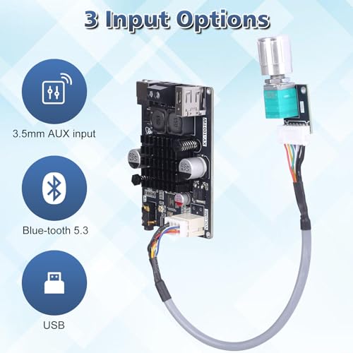 Bluetooth Amplifier Board 100W, with IPEX Antenna Connector (DC 9-24V) | TPA3116 Mono Audio Amp , with TWS Pairing, AUX/USB/Bluetooth Input, Wired Volume Control for Speaker DIY, Car & Home Audio