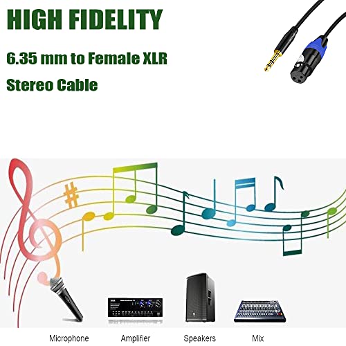 1/4 to XLR Cable, 1/4 Inch (6.35mm) TRS to XLR Female Stereo Audio Balanced Interconnect Cable Cord Gold Plated Plug Compatible with Microphone, Mixer, Speakers, DJ, Guitar - 6.6Feet - color: 6.6 feet