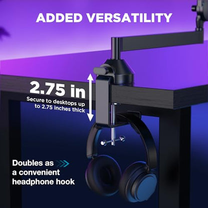 InnoGear Mic Boom Arm Stand with Cable Management & Low Profile Mic Arm for Fifine AM8 K669B Elgato Blue Yeti HyperX QuadCast AT2020 Shure SM58 SM7B and Other Mics, Pack of 2