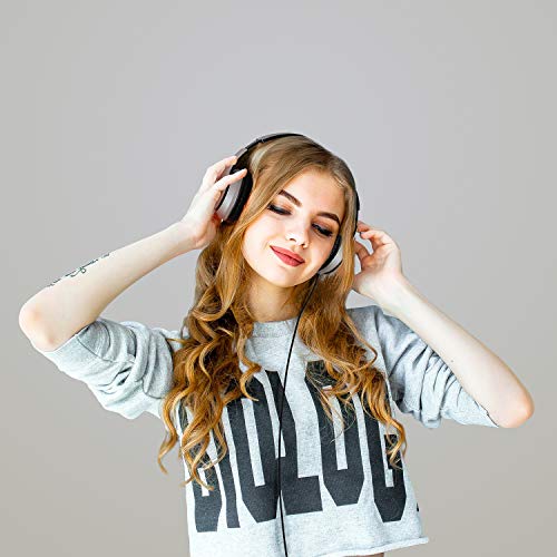 LORELEI X6 Over-Ear Headphones With Microphone, Lightweight Foldable & Portable Stereo Bass With 1.45M No-Tangle, Wired for Smartphone Tablet MP3/4 - color: Silver