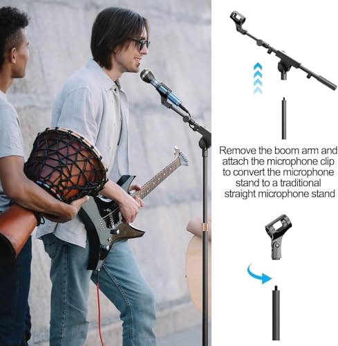 Mic Stand with Boom Arm with Carrying Bag and 2 Mics Clips, 1 Pack