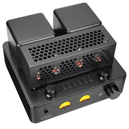 Tube Amplifier, Stereo Vacuum Tube Class A/B Amplifier,Integrated Amplifier with Bluetooth 5.0,Subwoofer Output, Headphone Output, Record Player Phono Preamp and USB DAC