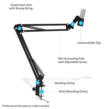 StreamEye Boom Arm Mic Stand with Desktop Mount, Detachable Clip, Professional Grade XLR Cable, Microphone Pop Filter and Cable Ties