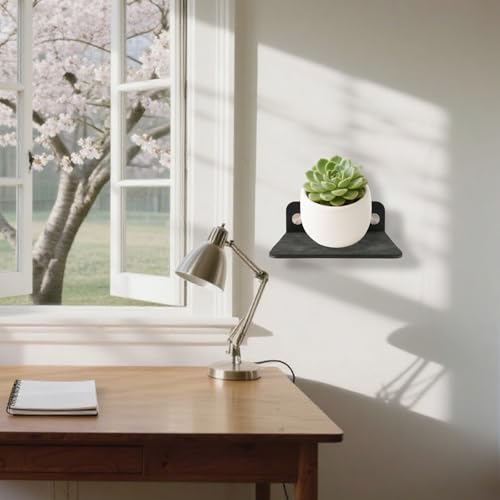 Small Wall Shelf Speaker Stand,Universal Rear Speaker Shelves for Samsung, Sony, JBL,Sonos,Floating Wall Mount for Webcam, Mesh Router (Black-1)
