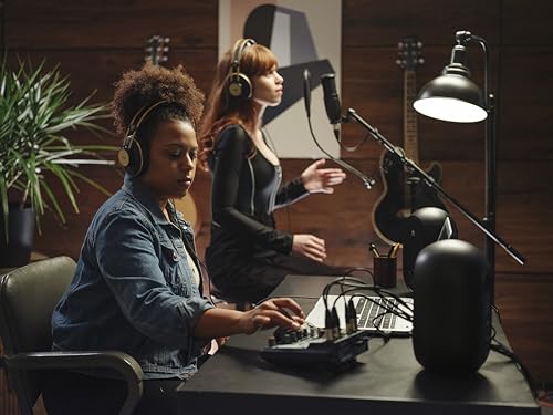 AKG Pro Audio P120 - Affordable 2/3-Inch Diaphragm Condenser Microphone for Clear Vocals & Instruments. Studio Recording or Live. XLR Connector. Black | Key details: Audio P120, Affordable 2/3 Inch Diaphragm Condenser Microphone - style: P120