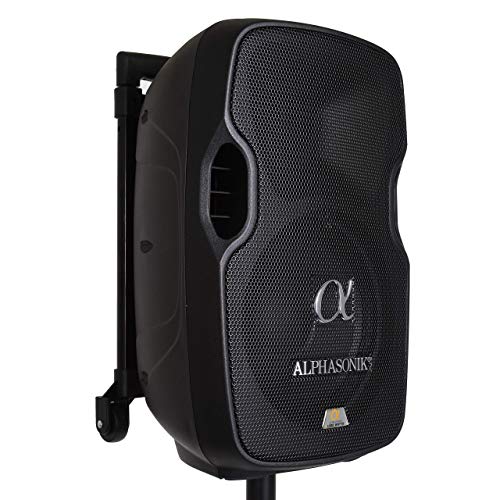 10" Portable Rechargeable Battery Powered 1000W Pro DJ Amplified Loud Speaker with 2 Wireless Microphones Echo Bluetooth USB SD Card Aux MP3 FM Radio PA System LED Ring Karaoke Tripod Stand - style: 10” with Rechargeable Battery