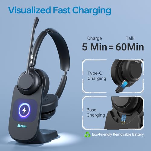 Work from Home Headset, Wireless Mic Headset for Office Noise Cancel Calls | One-Touch Mic Mute & 2.4G USB Dongle, Touch Screen Smart Dock, Work with Teams, Zoom & PC