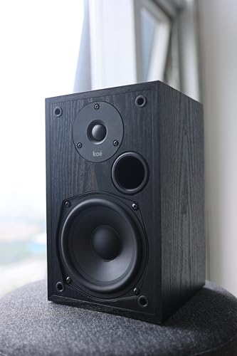 Audio Express Koe’ B102 – 100 Watt Home Theater, Passive Bookshelf Speakers (Pair) Hi-Res Audio, Excellent Response, HiFi, Satellites, Includes SPL/Freq Graph, Wall-Mountable, Black