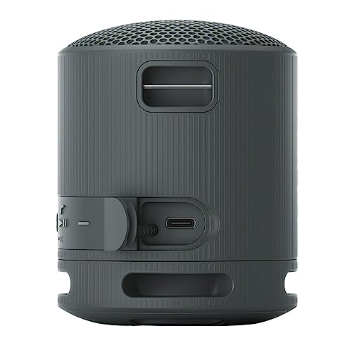 Sony SRS-XB100 Wireless Bluetooth Portable Travel Speaker Bundle (Black) | Travel case, Strap, (2 items) - color: Black