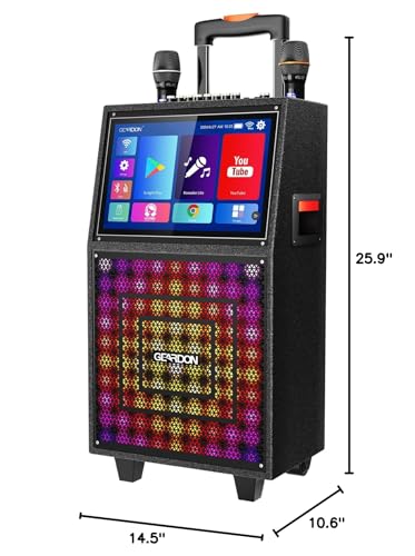 Karaoke Machine with Lyrics Display Screen for Adults, 15" Tablet | Bluetooth Speaker with 2 Wireless Mics, 1000W Peak Power, DJ Lights, Portable Karaoke System for Any Occasion - color: Black-1