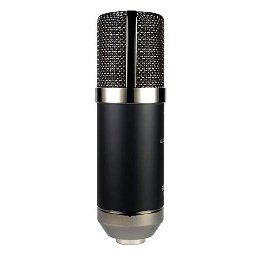 Stellar X2 Vintage Large-Diaphragm Cardioid Condenser XLR Microphone