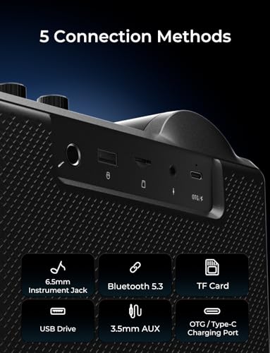 RIENOK 100W Portable Voice Amplifier with 2 Wireless Microphones S17