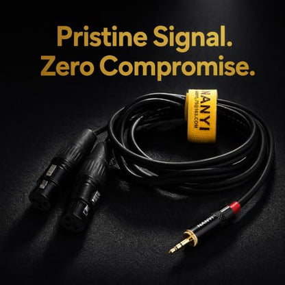NANYI 3.5mm to 2 XLR Female Y-Splitter Audio Microphone Cable, 1.6ft - size: 3.5mm To 2XLR Female-1.6FT