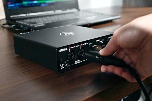 Yamaha 2-in/2-out USB-C Audio/MIDI Interface with 32-bit/192kHz Support, 2 combo Inputs, DSP-Powered Mixing/Effects, Steinberg Software Suite, Black URX22C - color: Black, style: URX22C